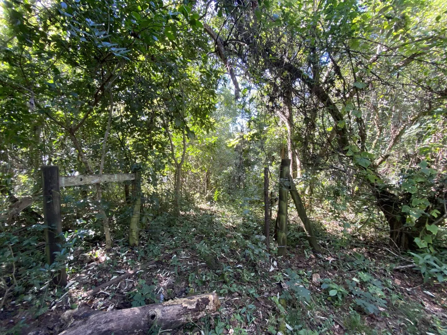 Chácara à venda de 2 ha em Piraju, SP, Brasil