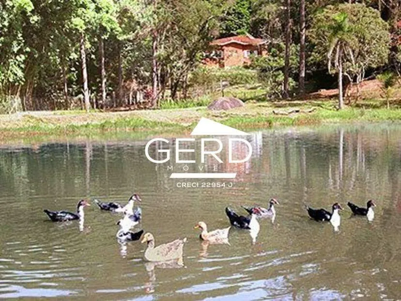 Small farm for sale of 7 acres in Itapevi, SP, Brazil