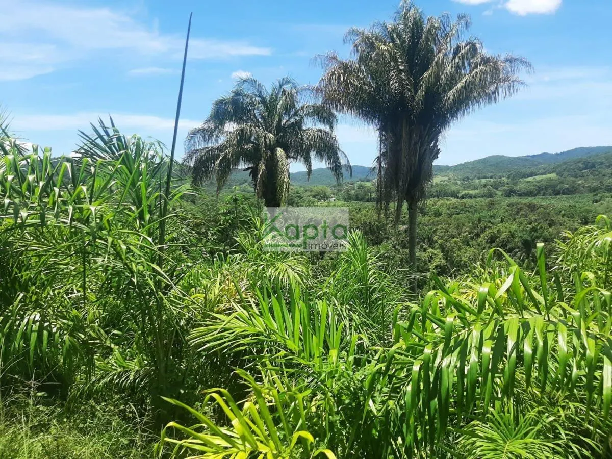 Fazenda à venda de 69 ha em Jacupiranga, SP, Brasil