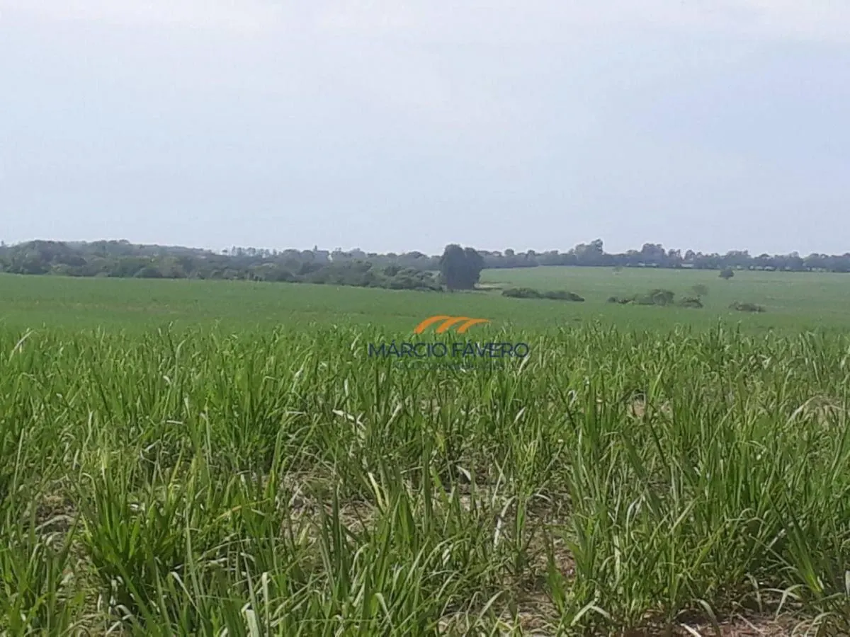 Fazenda à venda de 292 ha em Tambaú, SP, Brasil