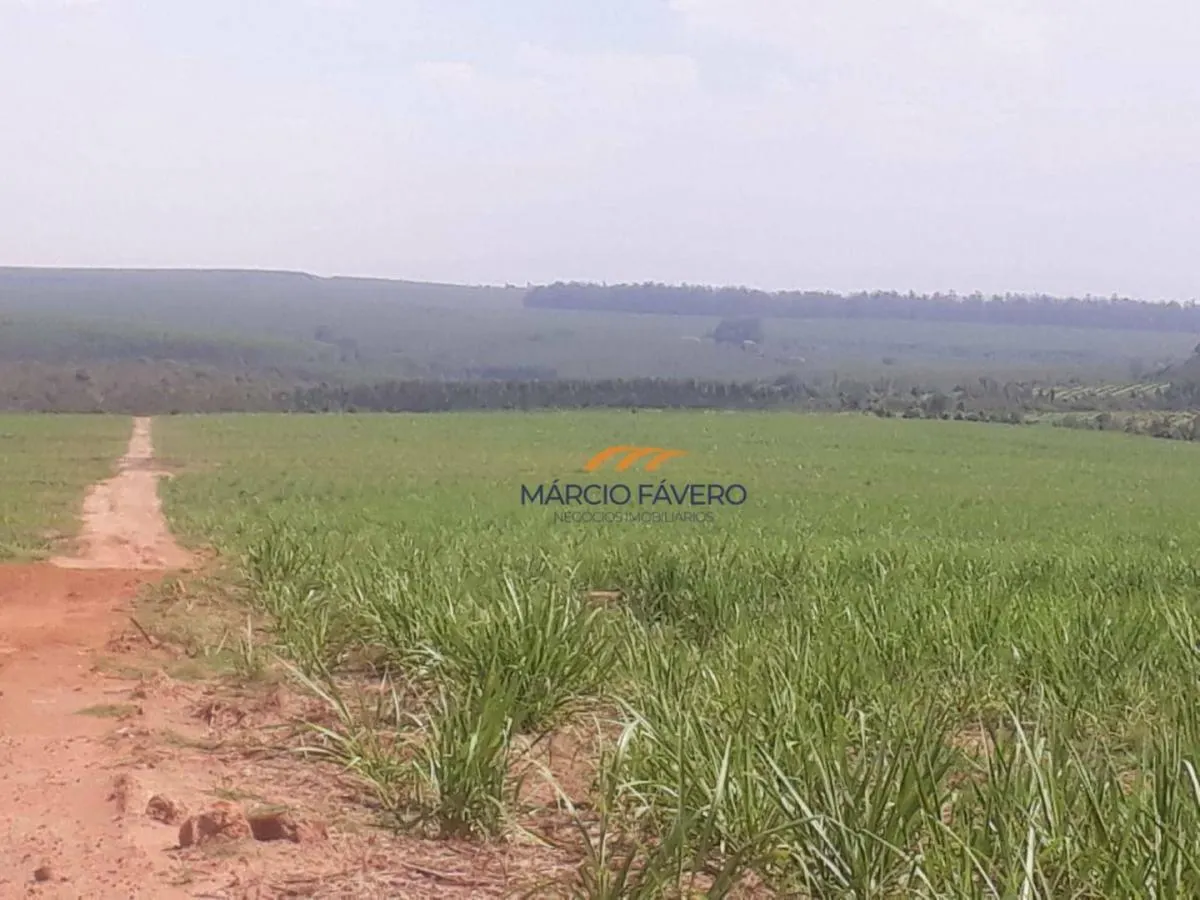 Fazenda à venda de 292 ha em Tambaú, SP, Brasil