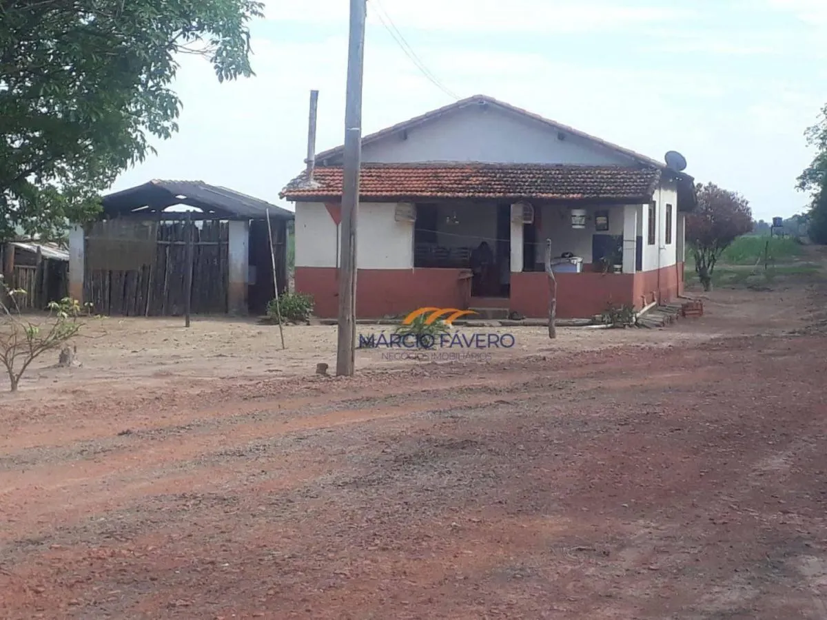 Fazenda à venda de 292 ha em Tambaú, SP, Brasil