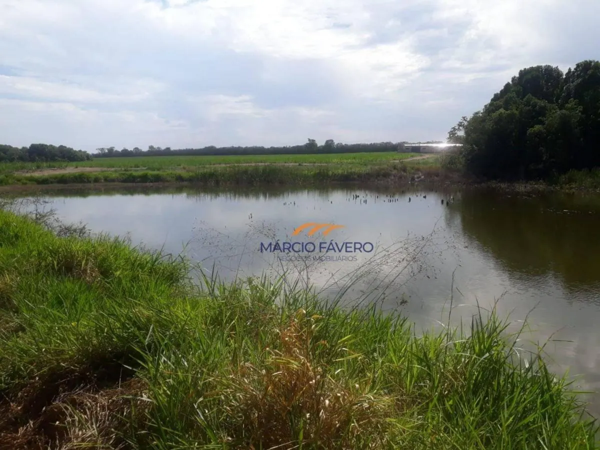 Fazenda à venda de 292 ha em Tambaú, SP, Brasil