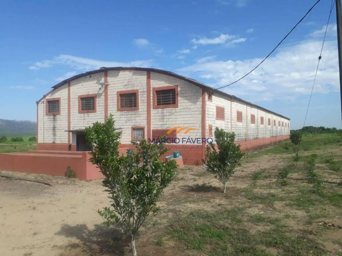 Fazenda à venda de 292 ha em Tambaú, SP, Brasil