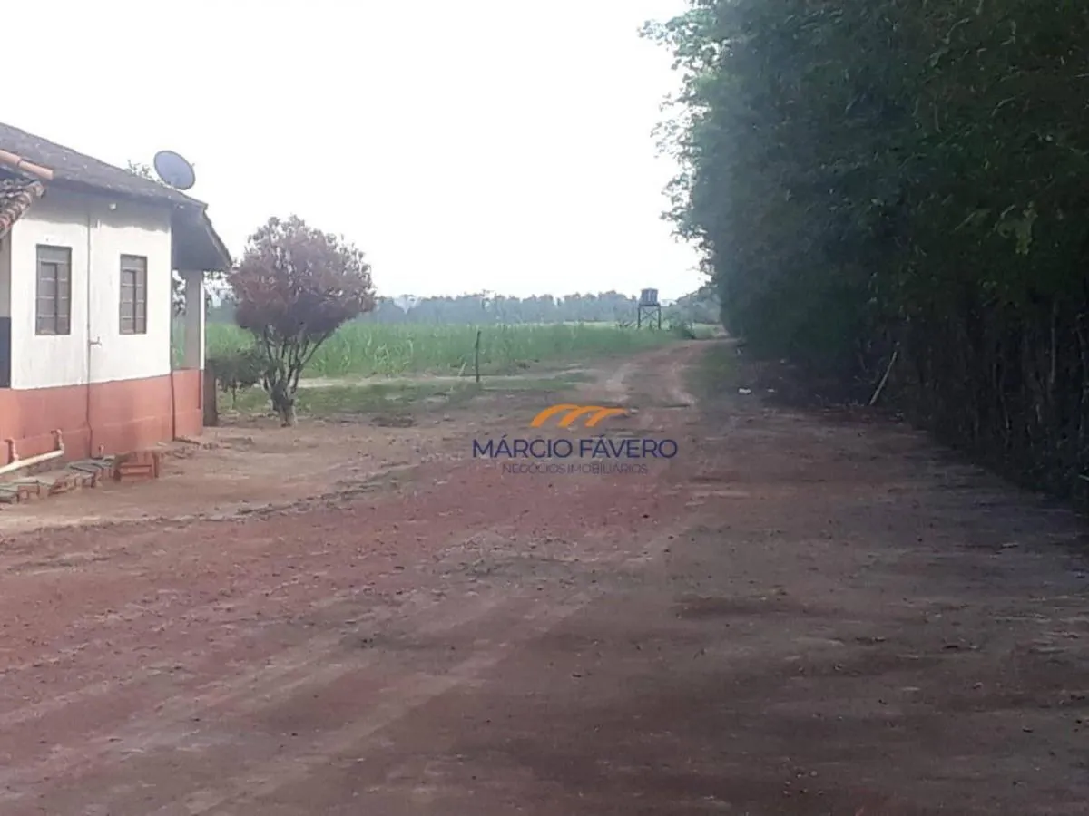 Fazenda à venda de 292 ha em Tambaú, SP, Brasil