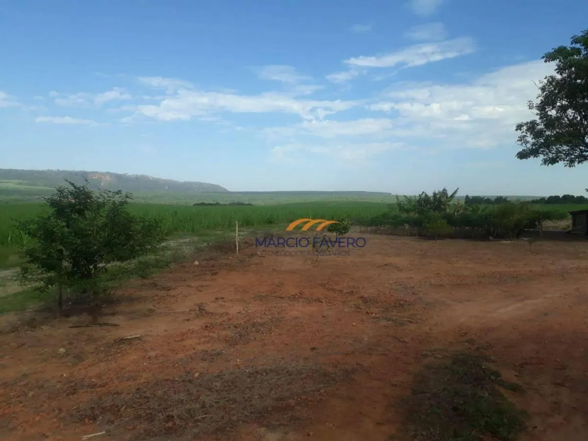 Fazenda à venda de 292 ha em Tambaú, SP, Brasil