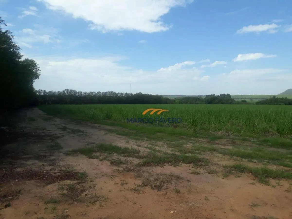Fazenda à venda de 292 ha em Tambaú, SP, Brasil
