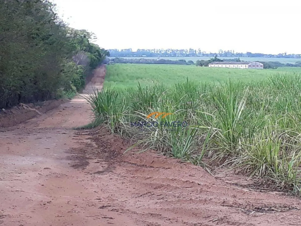 Fazenda à venda de 292 ha em Tambaú, SP, Brasil