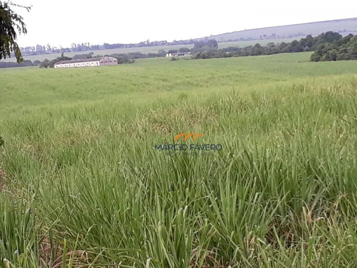 Fazenda à venda de 292 ha em Tambaú, SP, Brasil