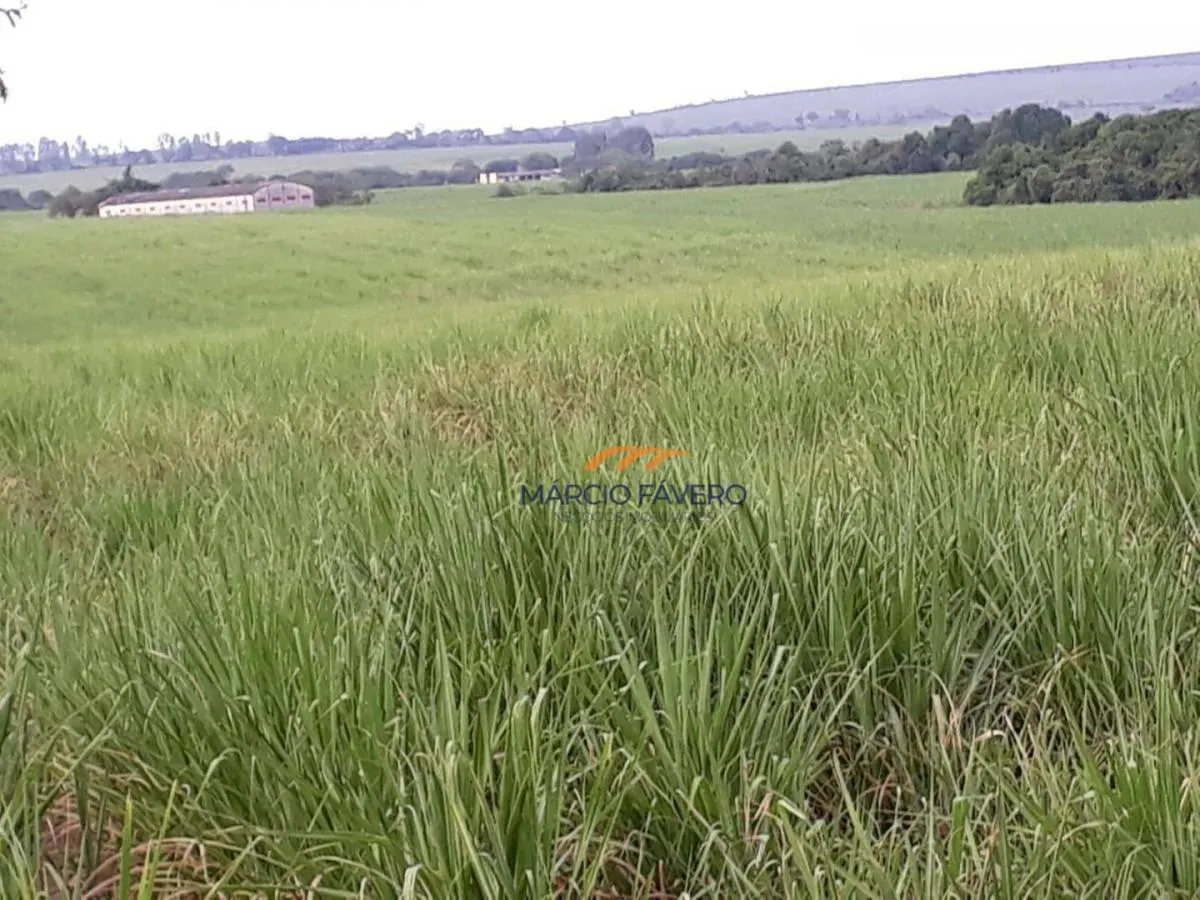 Fazenda à venda de 292 ha em Tambaú, SP, Brasil