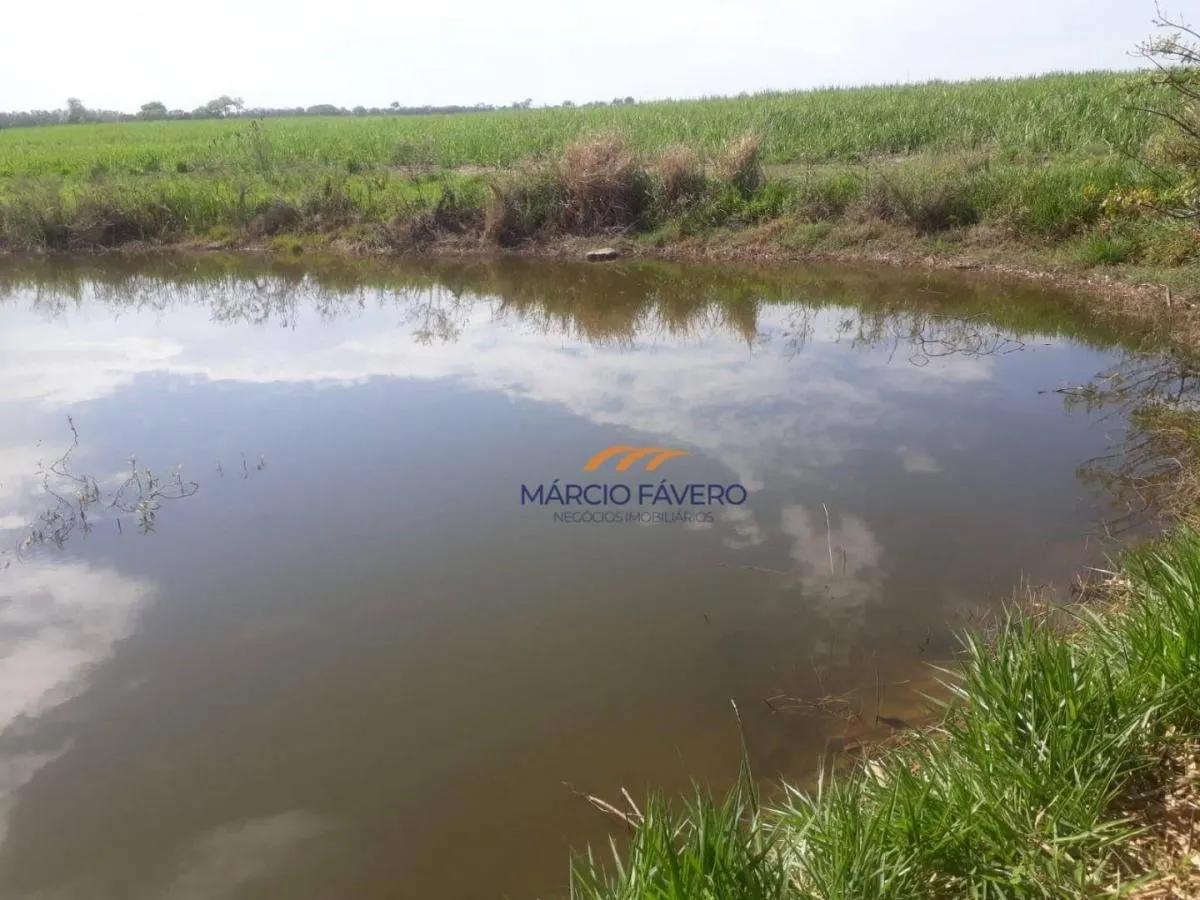 Fazenda à venda de 292 ha em Tambaú, SP, Brasil