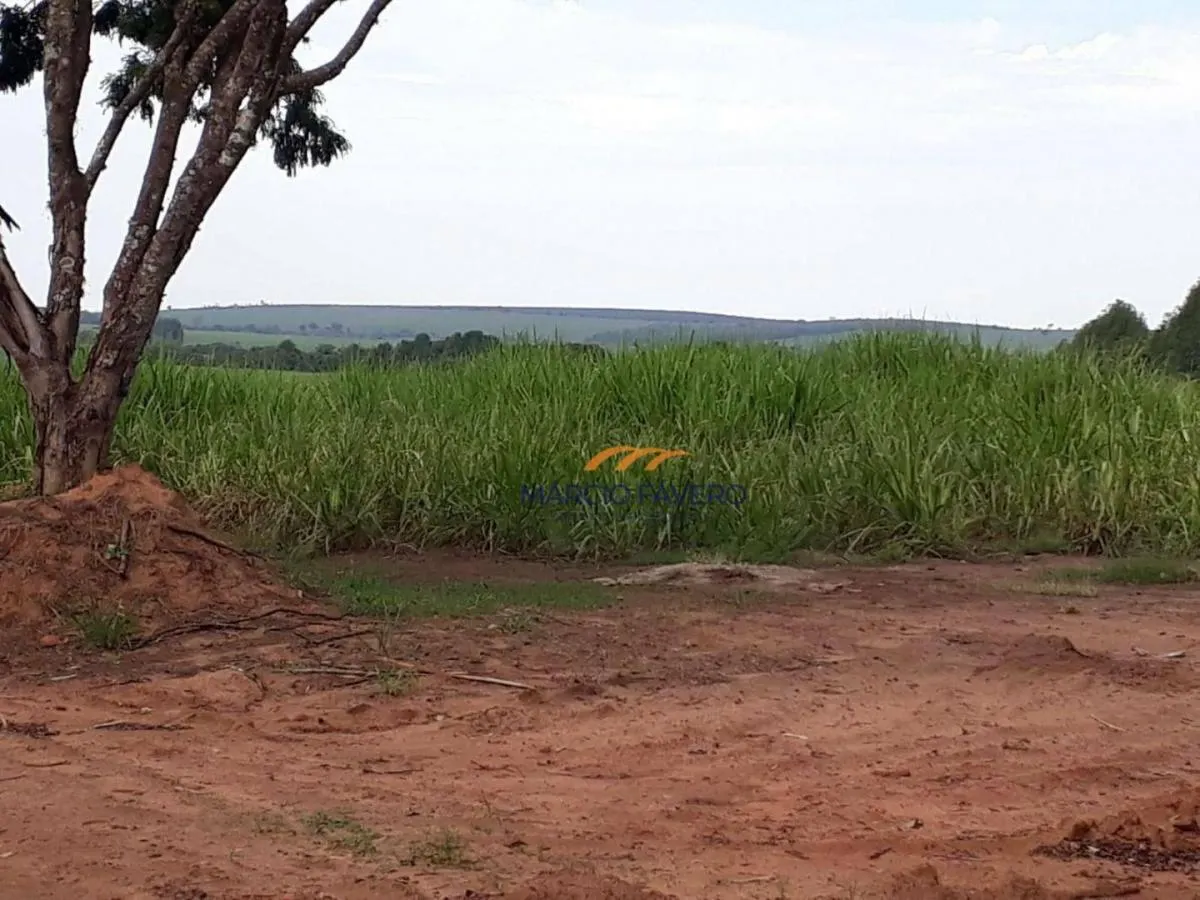 Fazenda à venda de 292 ha em Tambaú, SP, Brasil