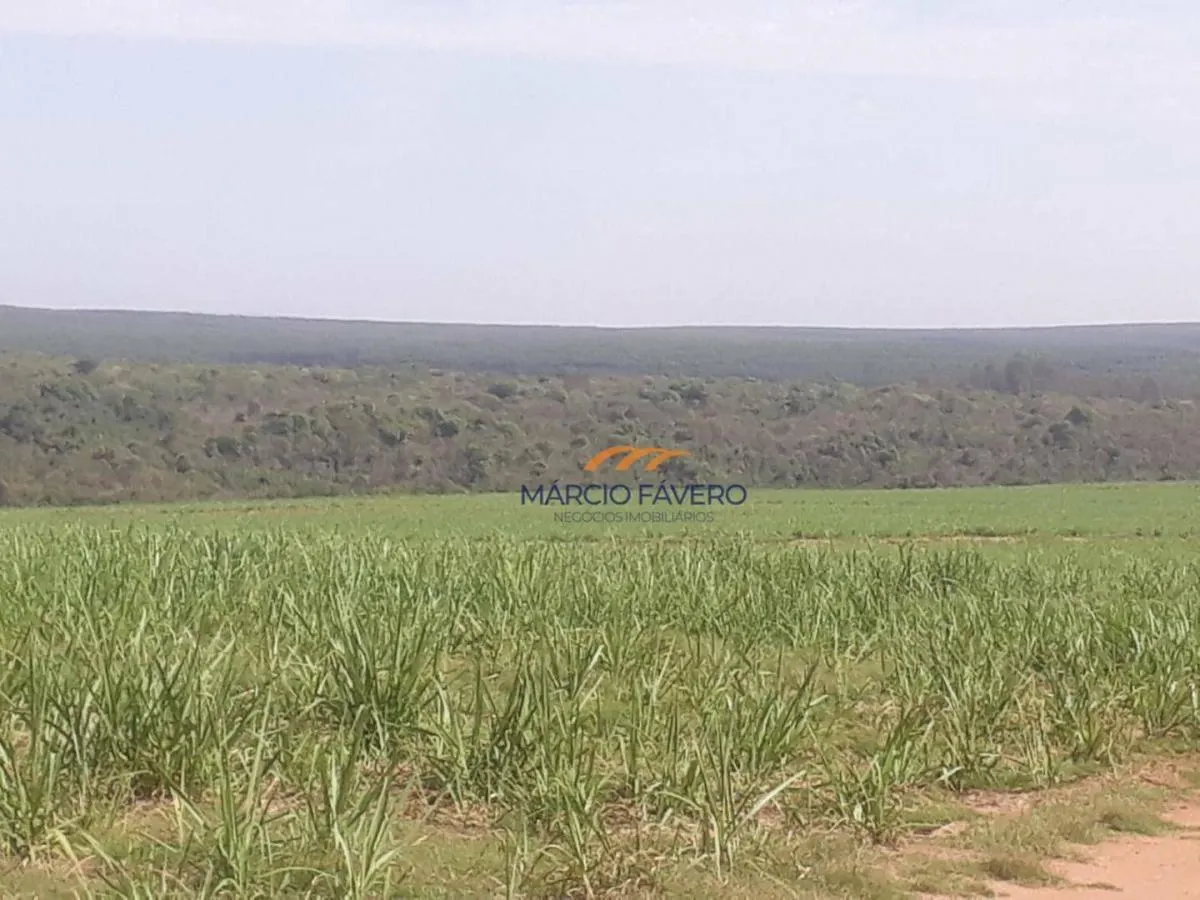 Fazenda à venda de 292 ha em Tambaú, SP, Brasil