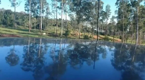 Fazenda à venda de 126 ha em Mococa, SP, Brasil