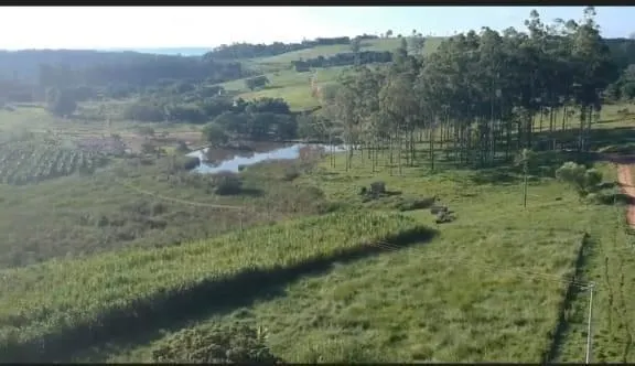 Fazenda à venda de 126 ha em Mococa, SP, Brasil
