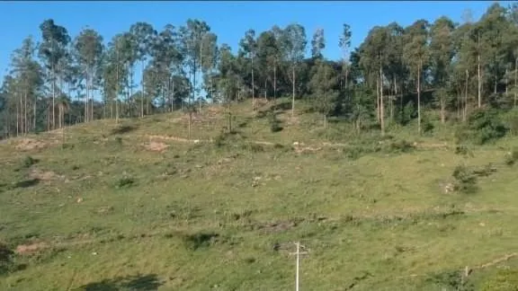 Fazenda à venda de 126 ha em Mococa, SP, Brasil