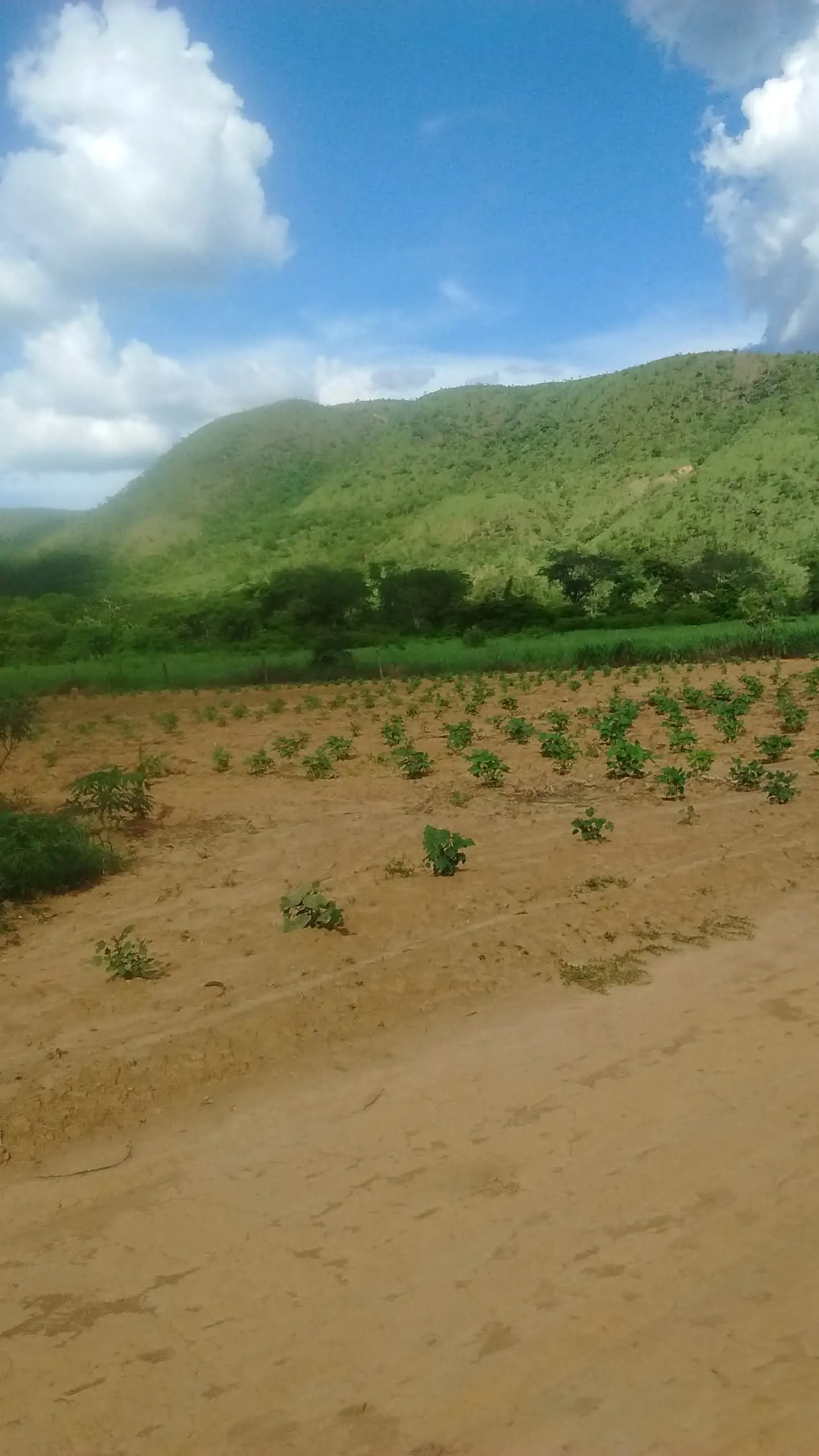 Sítio à venda de 10 ha em Vila Boa, GO, Brasil