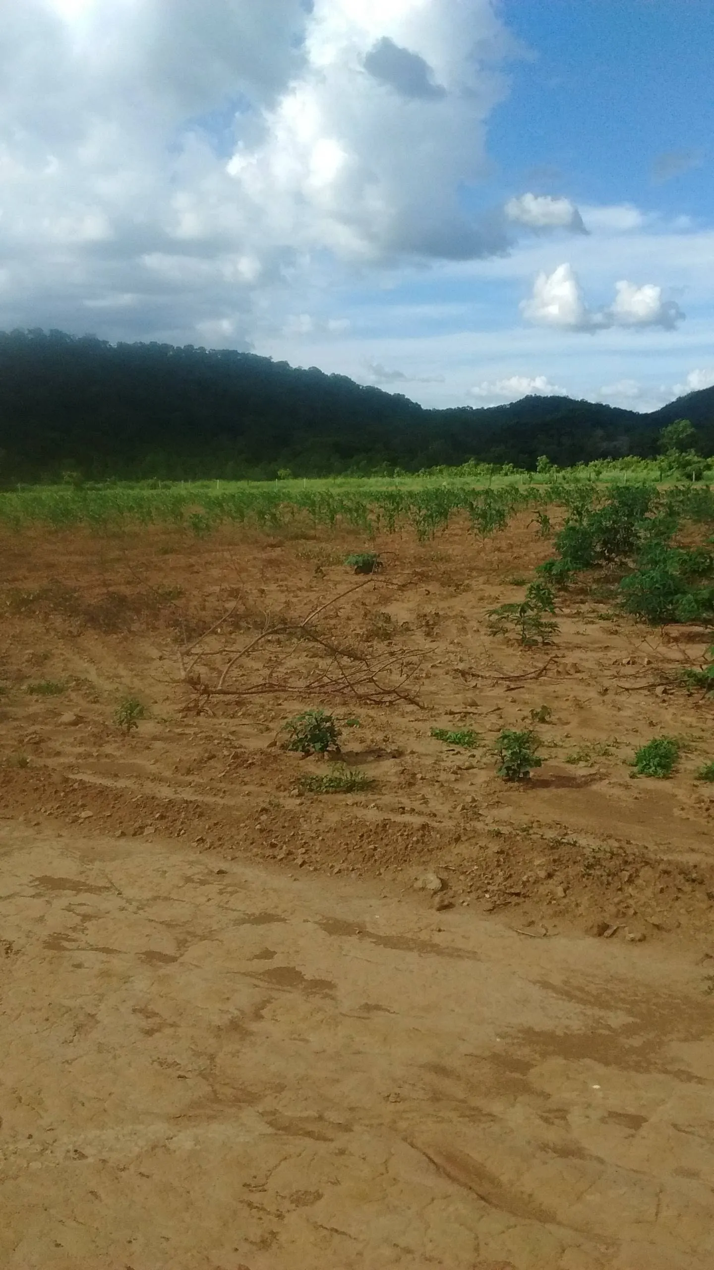 Sítio à venda de 10 ha em Vila Boa, GO, Brasil