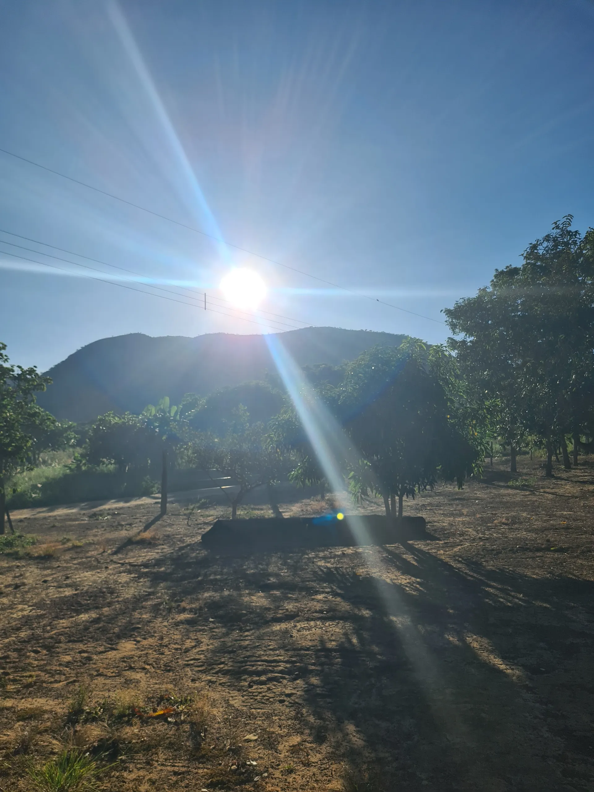 Sítio à venda de 10 ha em Vila Boa, GO, Brasil