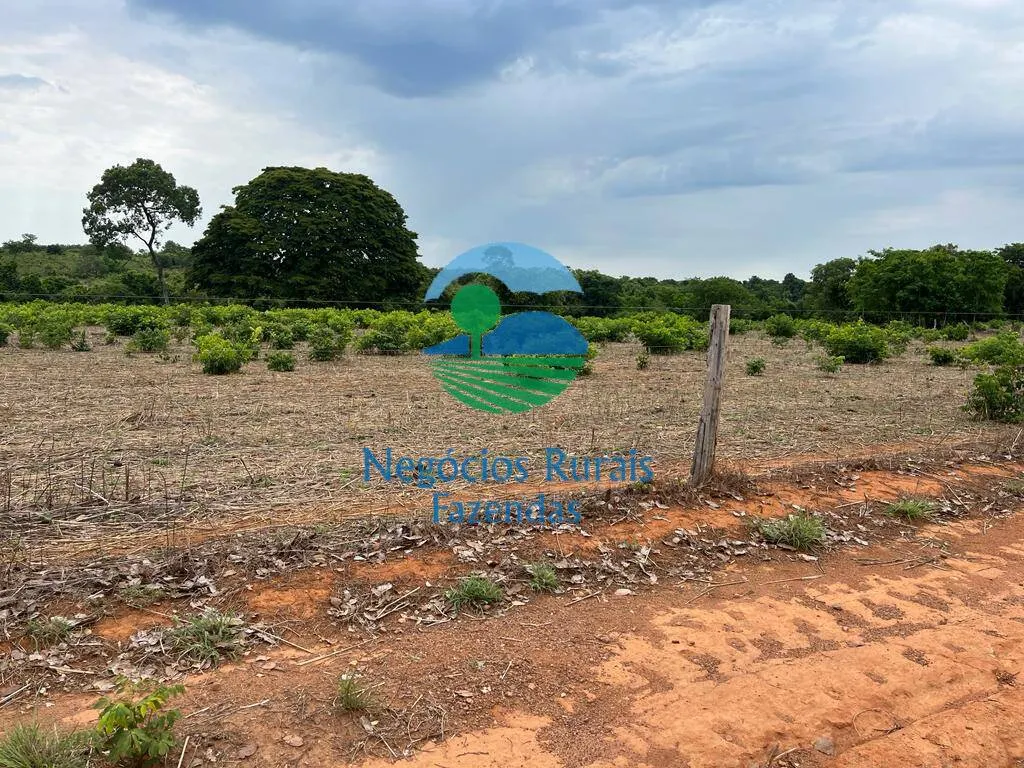 Fazenda à venda de 517 ha em São Valério da Natividade, TO, Brasil