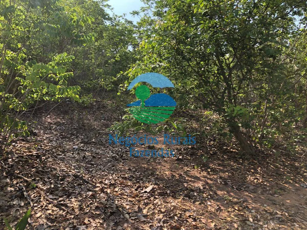 Fazenda à venda de 517 ha em São Valério da Natividade, TO, Brasil