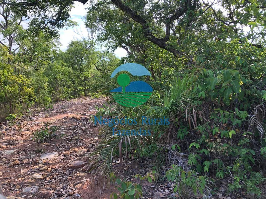 Fazenda à venda de 517 ha em São Valério da Natividade, TO, Brasil