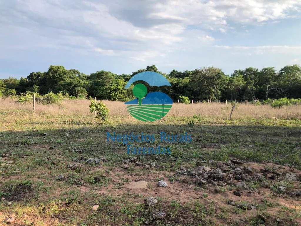 Fazenda à venda de 517 ha em São Valério da Natividade, TO, Brasil