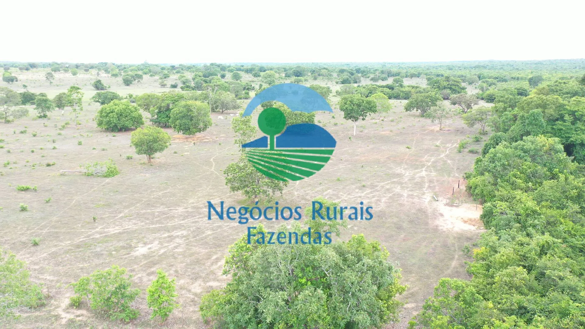 Fazenda à venda de 517 ha em São Valério da Natividade, TO, Brasil