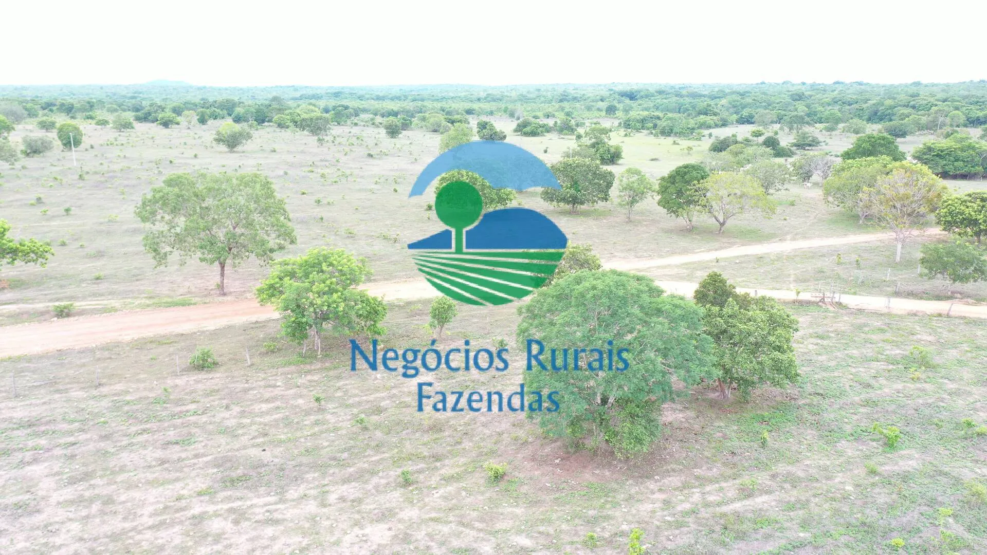 Fazenda à venda de 517 ha em São Valério da Natividade, TO, Brasil