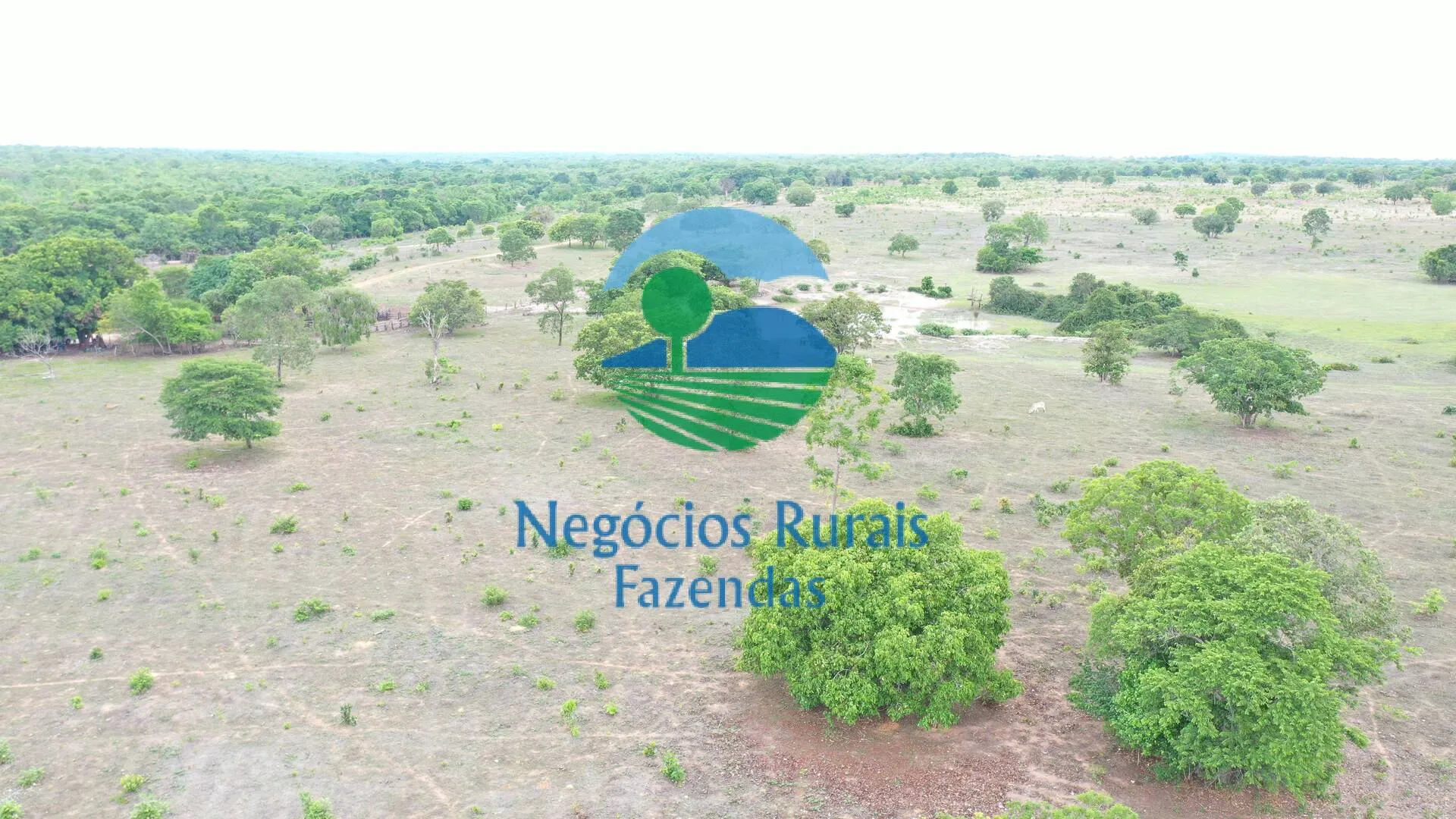 Fazenda à venda de 517 ha em São Valério da Natividade, TO, Brasil