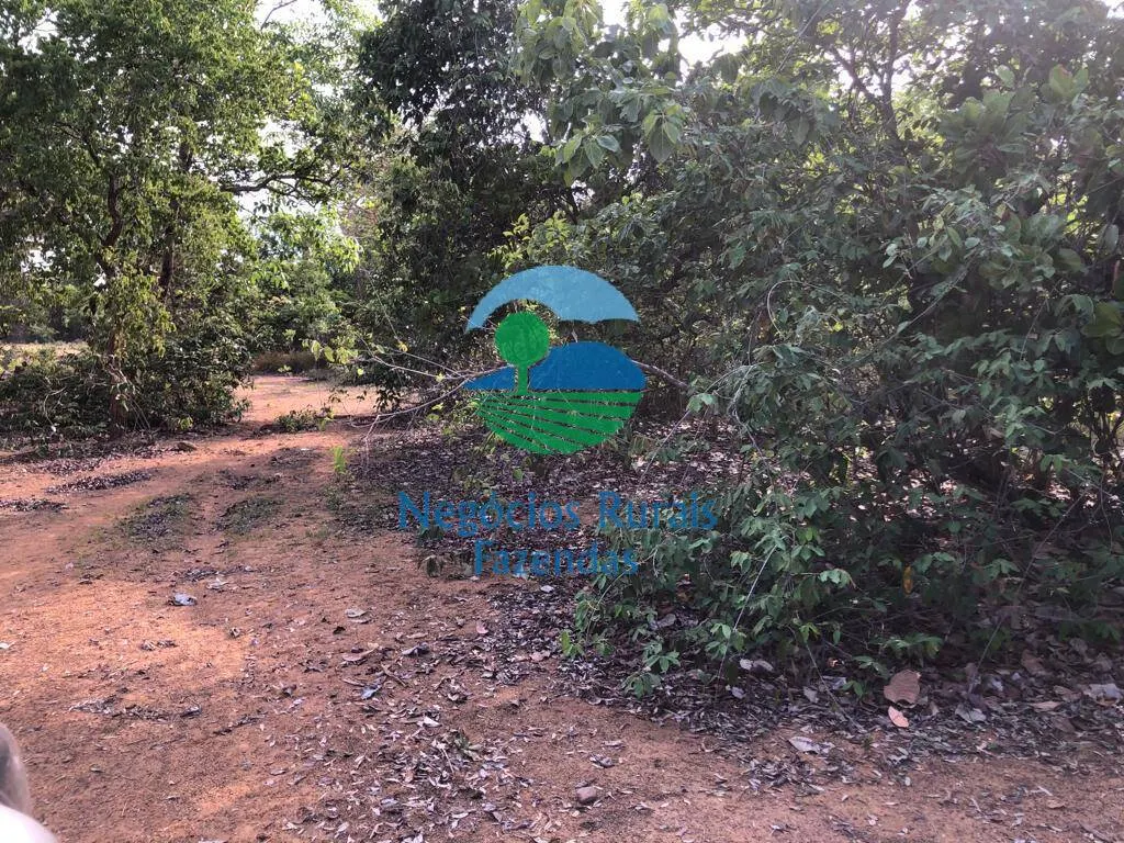 Fazenda à venda de 517 ha em São Valério da Natividade, TO, Brasil