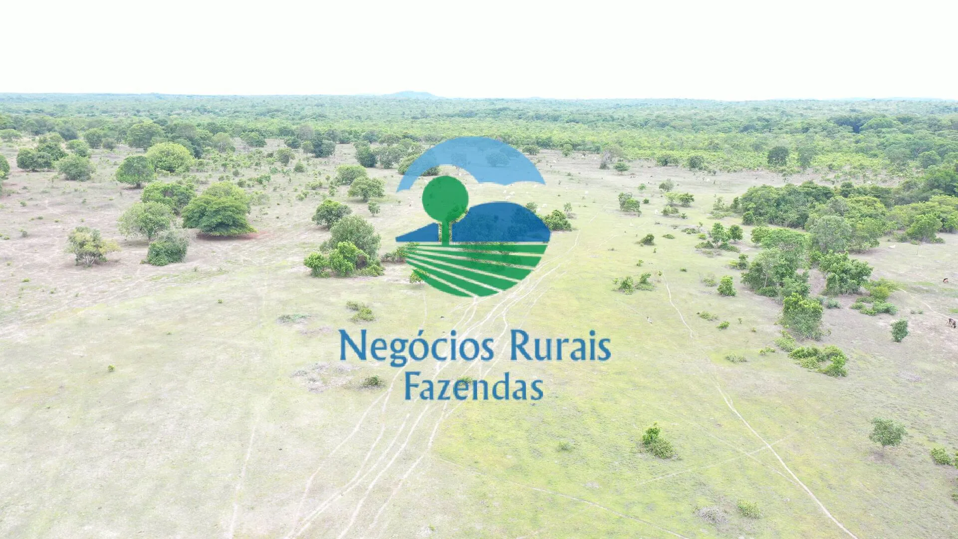Fazenda à venda de 517 ha em São Valério da Natividade, TO, Brasil