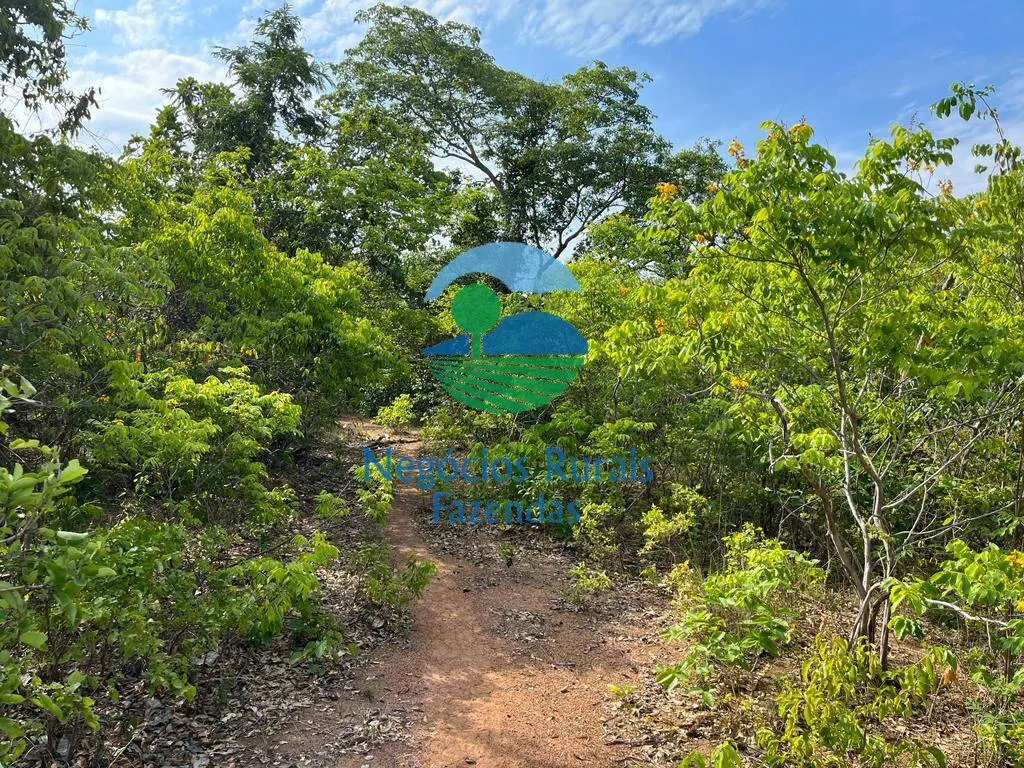 Fazenda à venda de 517 ha em São Valério da Natividade, TO, Brasil