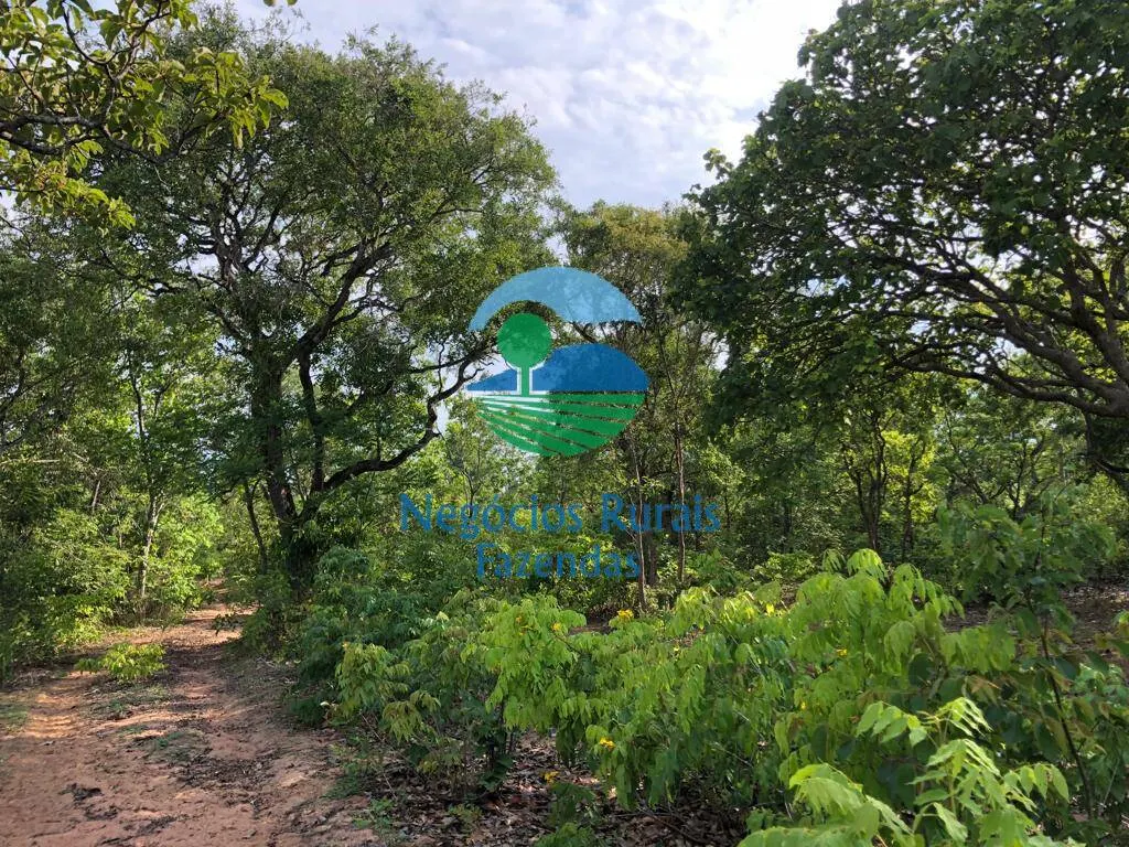 Fazenda à venda de 517 ha em São Valério da Natividade, TO, Brasil