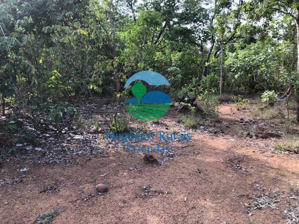 Fazenda à venda de 517 ha em São Valério da Natividade, TO, Brasil