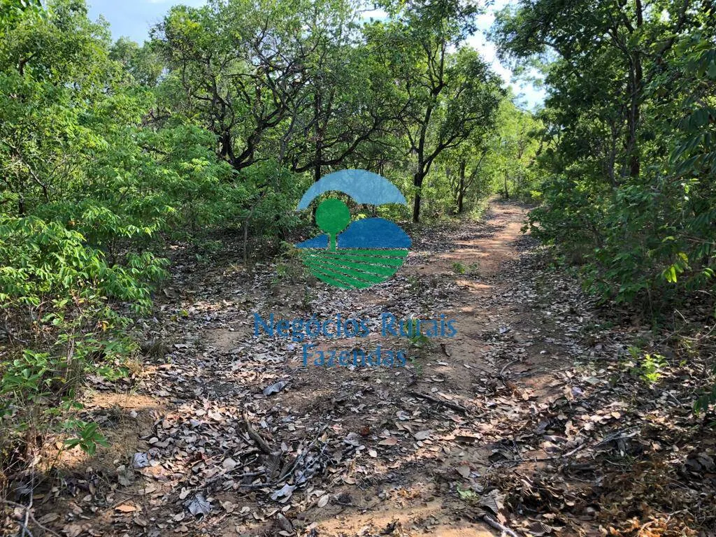 Fazenda à venda de 517 ha em São Valério da Natividade, TO, Brasil