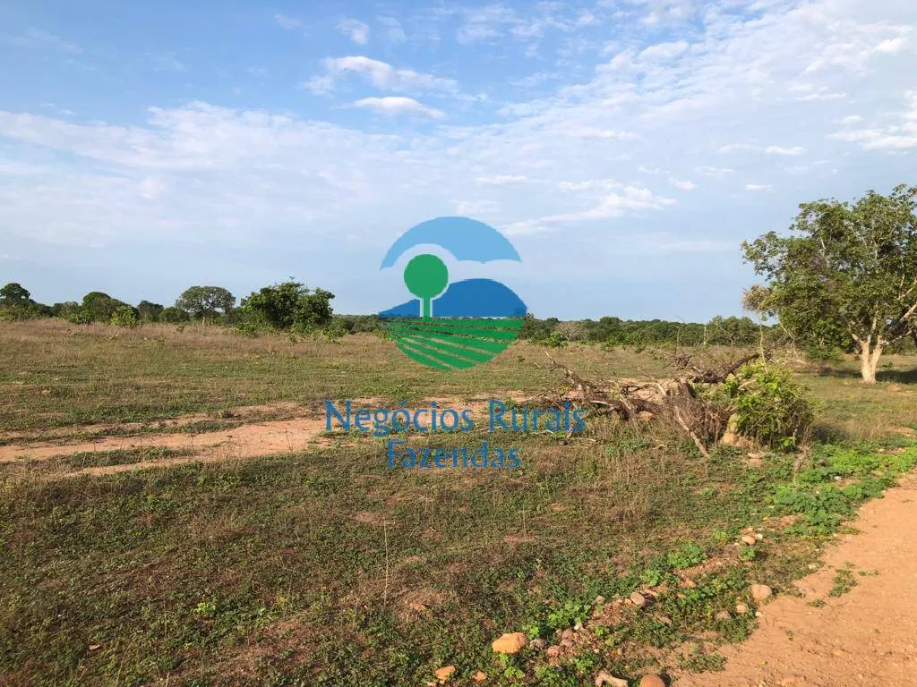 Fazenda à venda de 517 ha em São Valério da Natividade, TO, Brasil