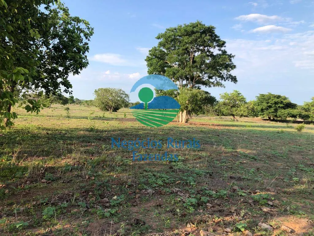 Fazenda à venda de 517 ha em São Valério da Natividade, TO, Brasil