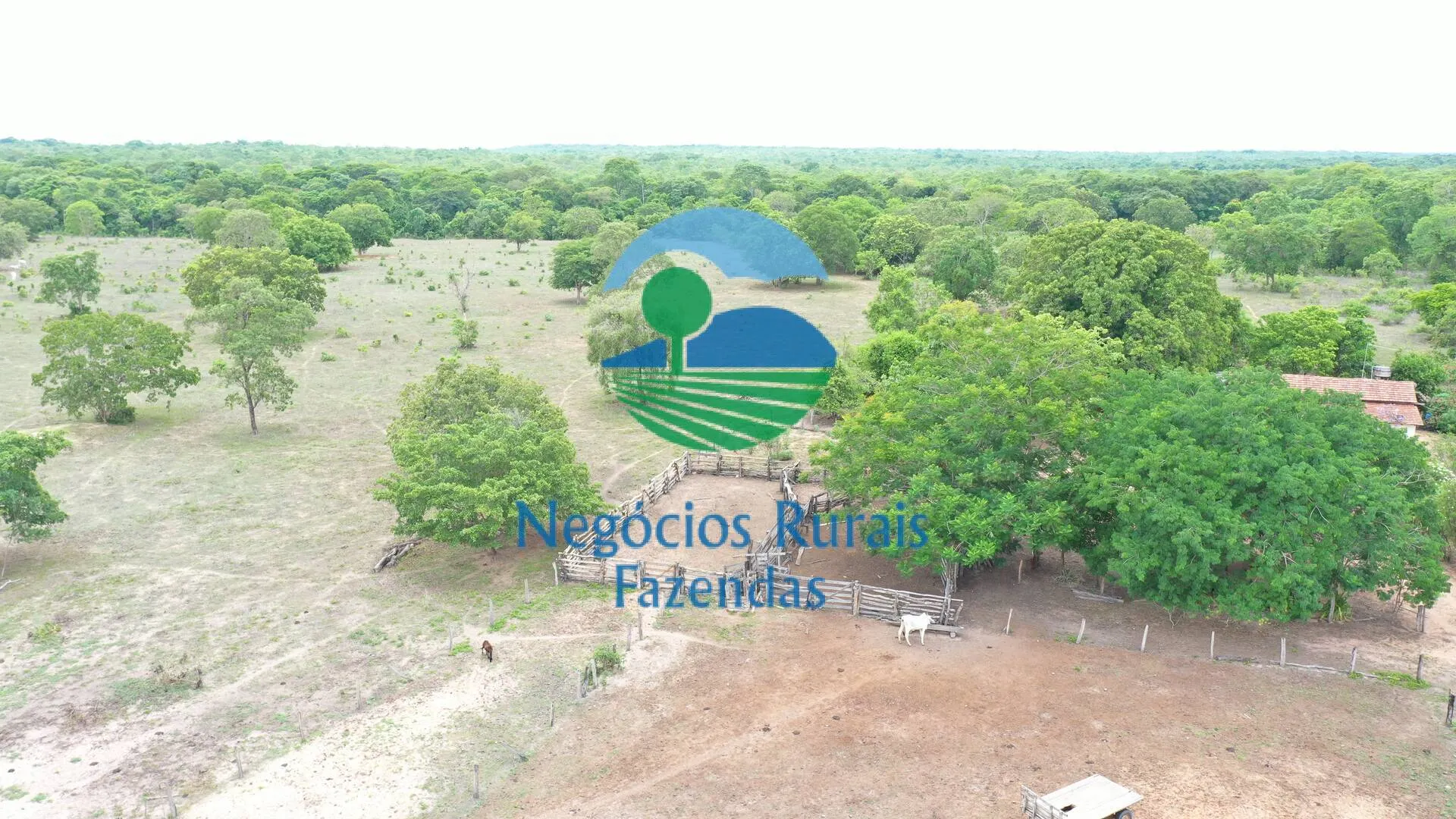 Fazenda à venda de 517 ha em São Valério da Natividade, TO, Brasil