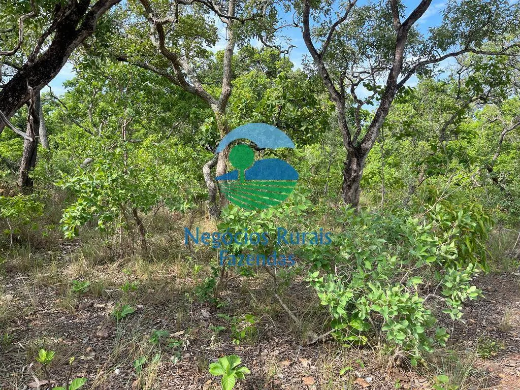 Fazenda à venda de 517 ha em São Valério da Natividade, TO, Brasil