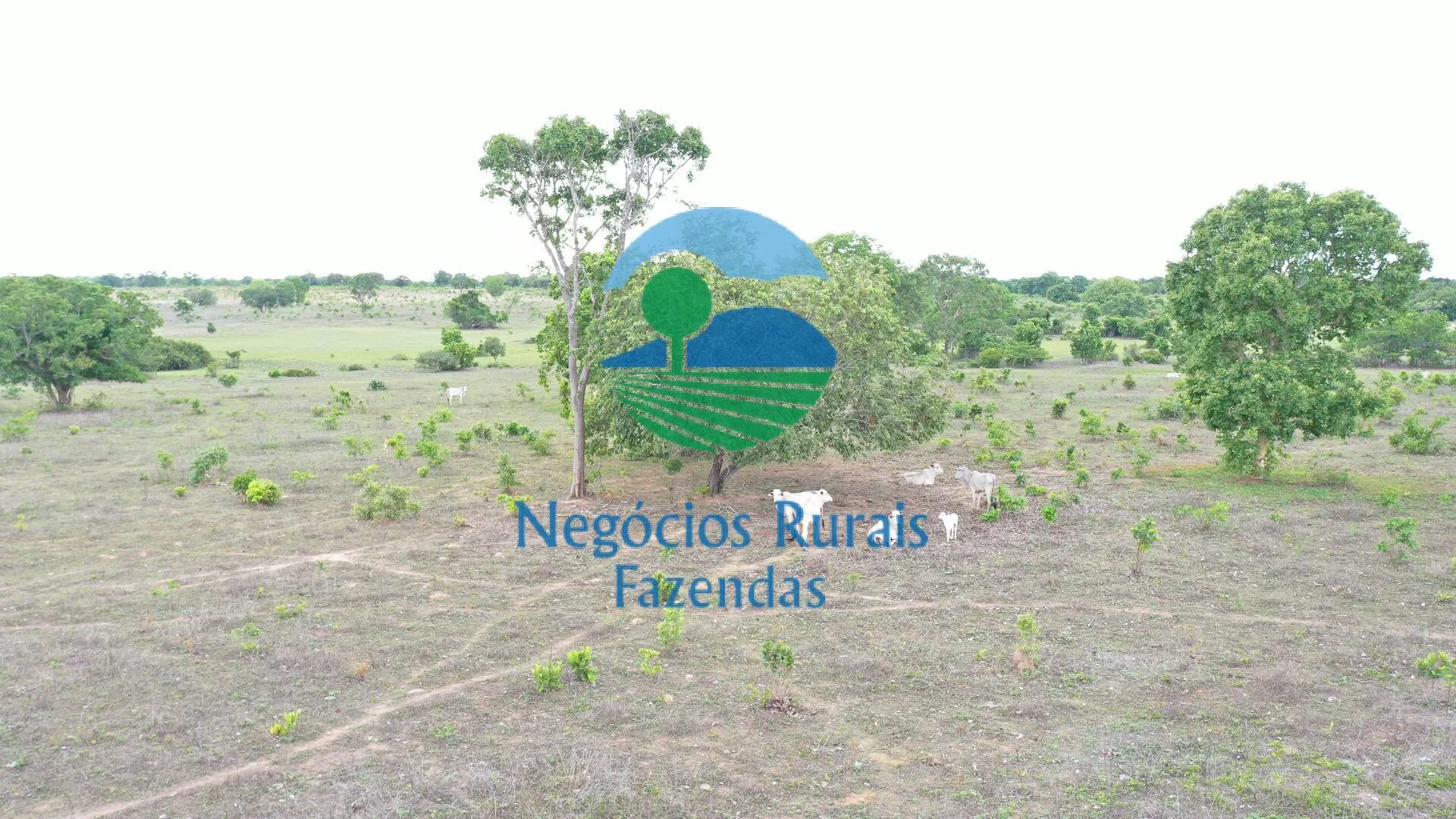 Fazenda à venda de 517 ha em São Valério da Natividade, TO, Brasil