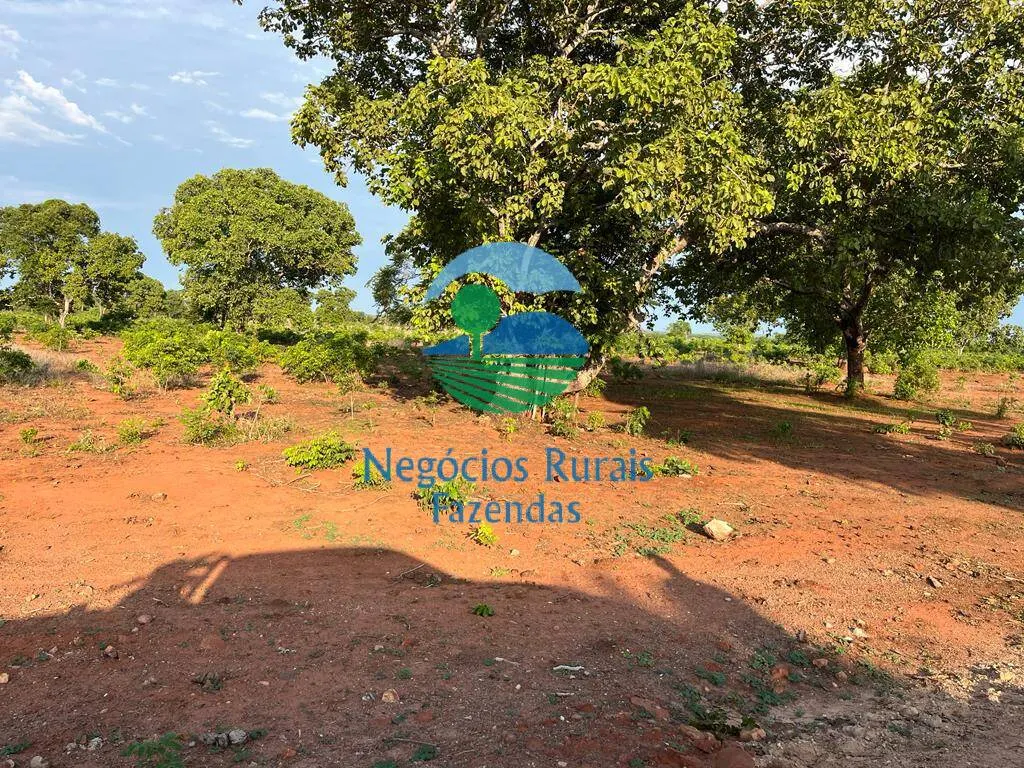 Fazenda à venda de 517 ha em São Valério da Natividade, TO, Brasil