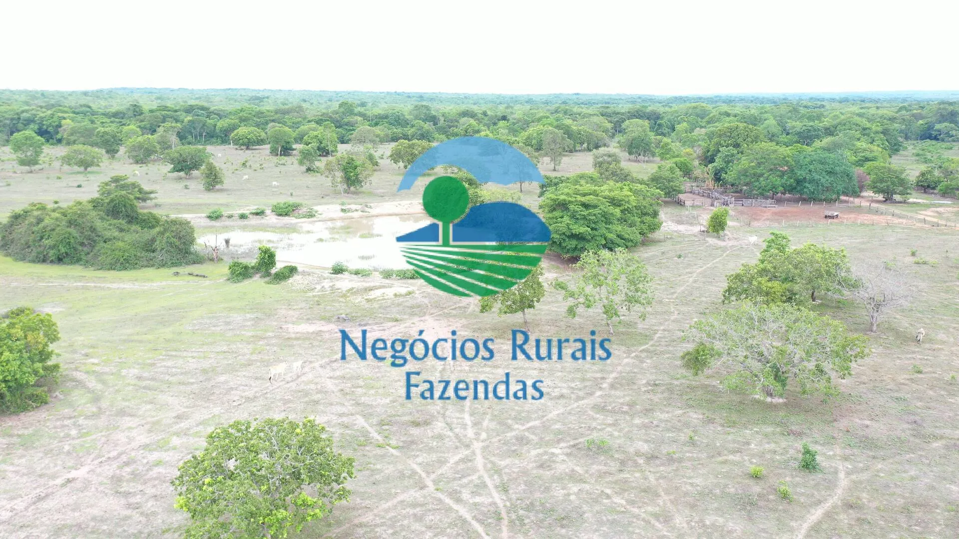 Fazenda à venda de 517 ha em São Valério da Natividade, TO, Brasil