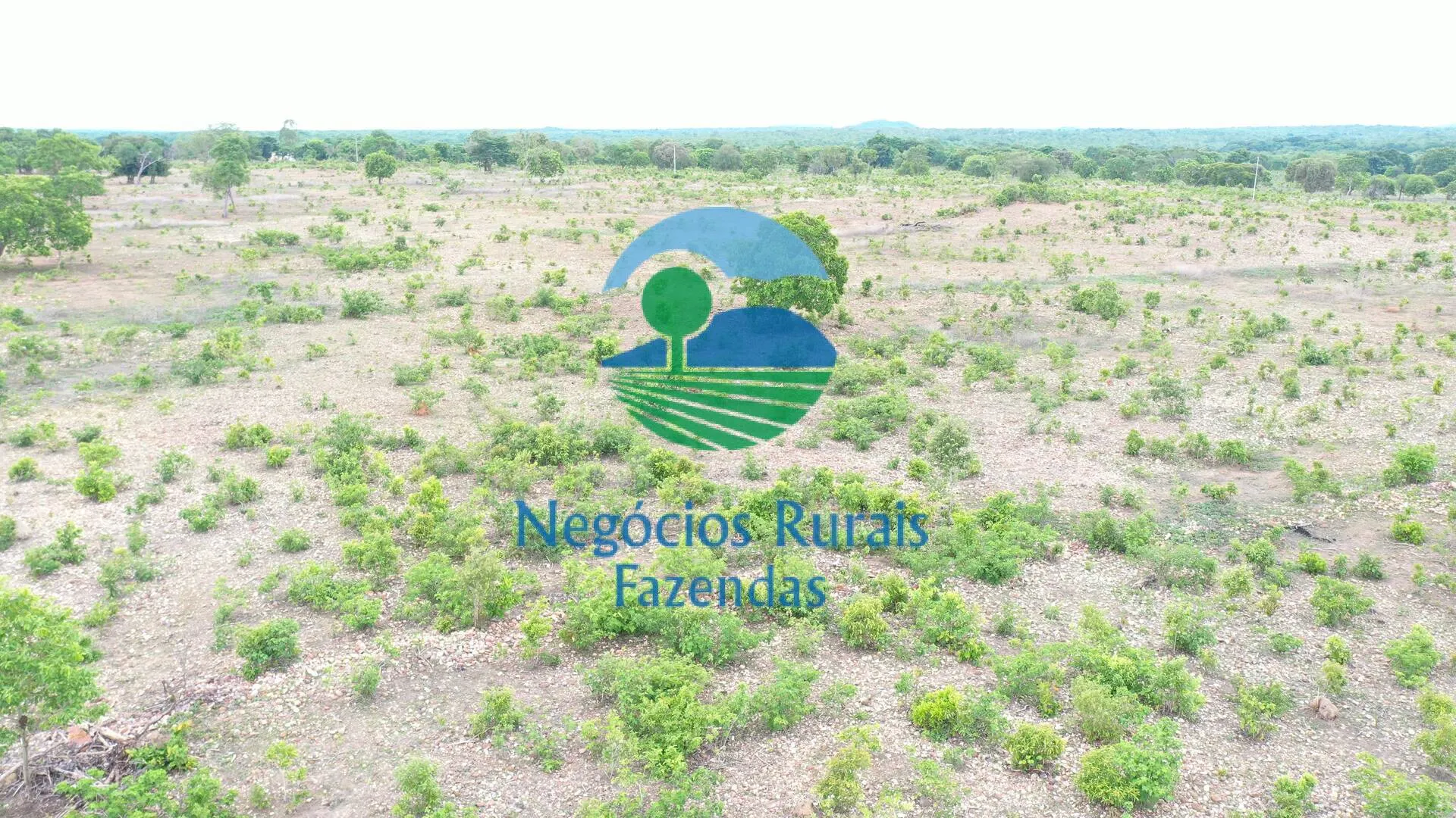 Fazenda à venda de 517 ha em São Valério da Natividade, TO, Brasil
