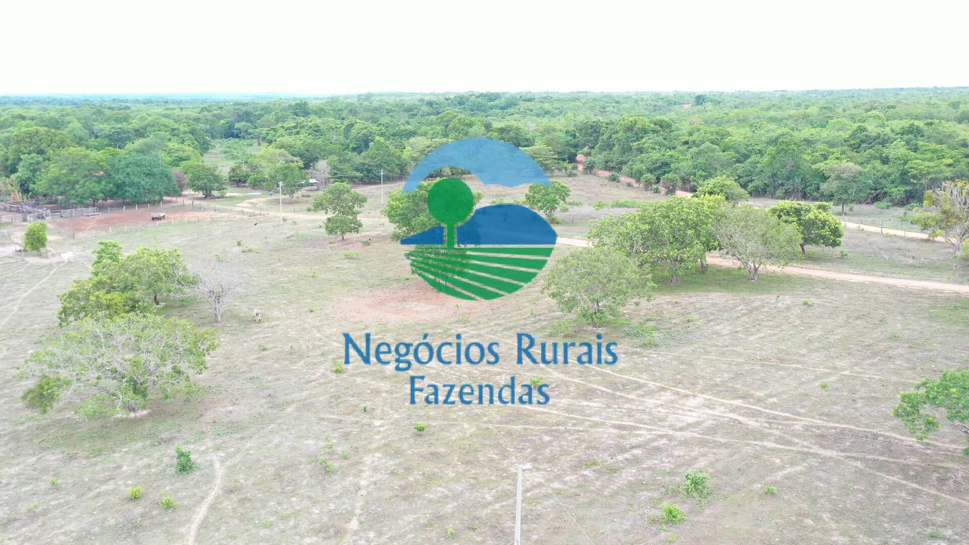 Fazenda à venda de 517 ha em São Valério da Natividade, TO, Brasil