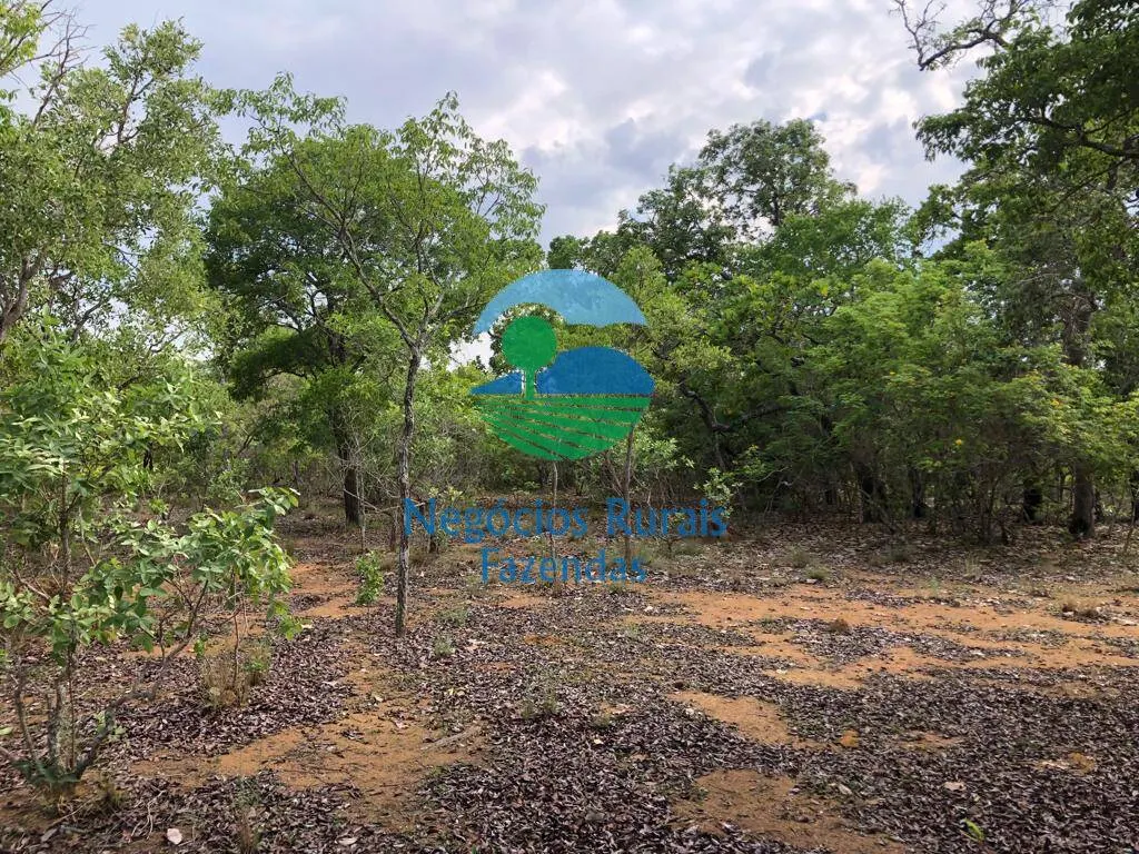 Fazenda à venda de 517 ha em São Valério da Natividade, TO, Brasil
