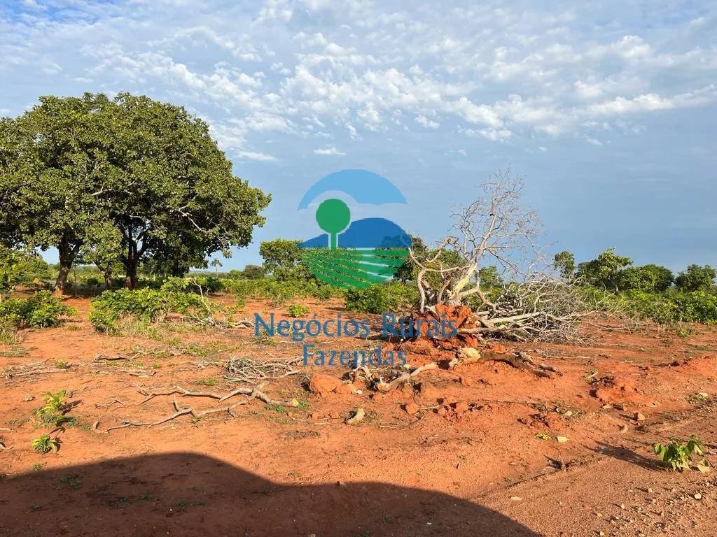 Fazenda à venda de 517 ha em São Valério da Natividade, TO, Brasil