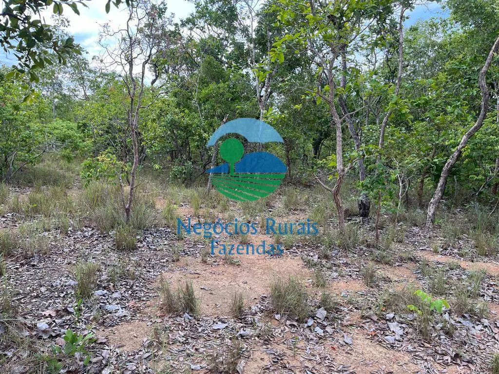 Fazenda à venda de 517 ha em São Valério da Natividade, TO, Brasil