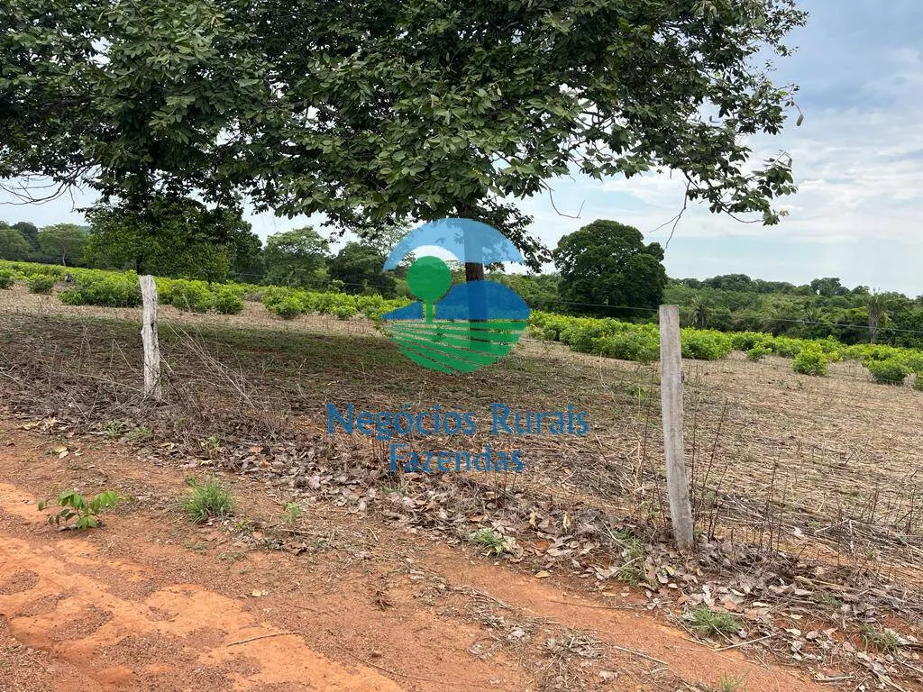 Fazenda à venda de 517 ha em São Valério da Natividade, TO, Brasil