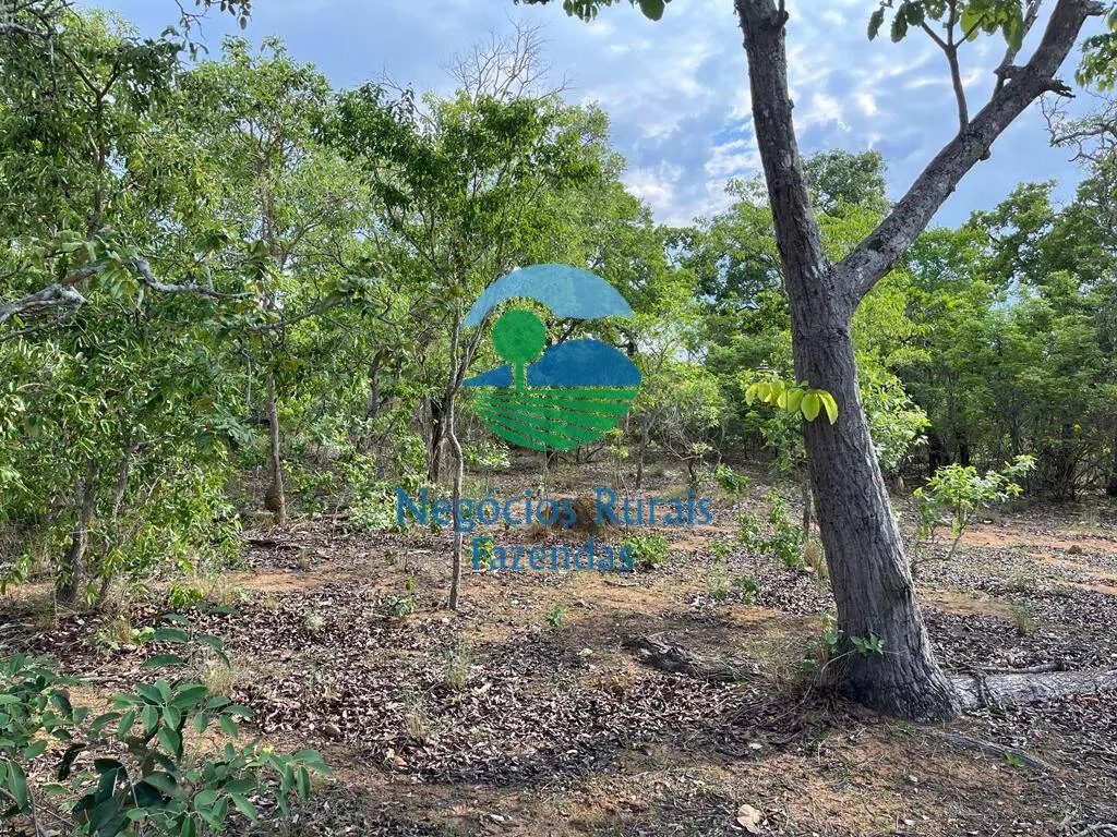 Fazenda à venda de 517 ha em São Valério da Natividade, TO, Brasil